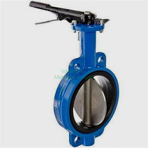 Jual Butterfly Valve 2 Inch Jis 10k Pn16 Body Cast Iron Disc Cf8 Ss304 Jakarta Barat