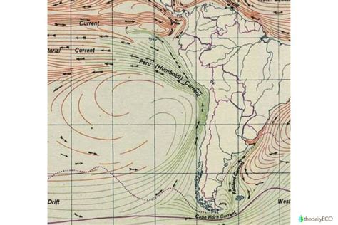 What Is the Humboldt Current? - Peru Current With Maps