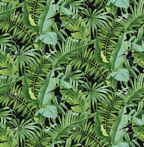 Vinyl Wallpaper With Palm Leaves Texture Seamless 20927