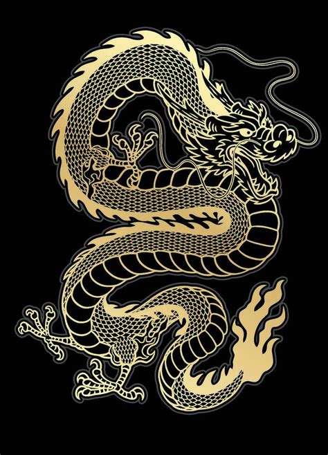 Traditional Golden Asian Dragon Illustration On Black Background