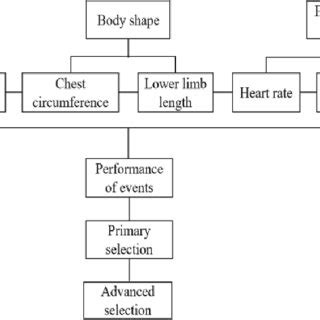 Statistical analysis model | Download Scientific Diagram