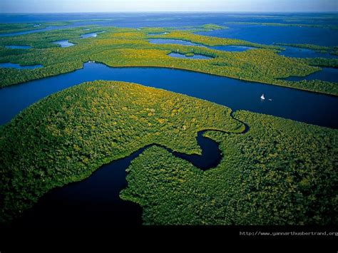 Dato Curioso 13 El Río Amazonas El Más Largo Y Caudaloso Del Mundo