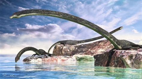 Tanystropheus Dinosaurs Pictures And Facts