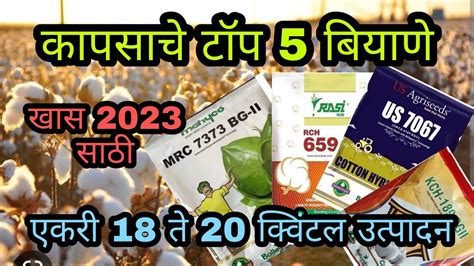 कापसाचे टॉप 5 बियाणे एकरी 18 ते 20 क्विंटल उत्पादन खास 2023 साठी कष्टाची शेती Youtube