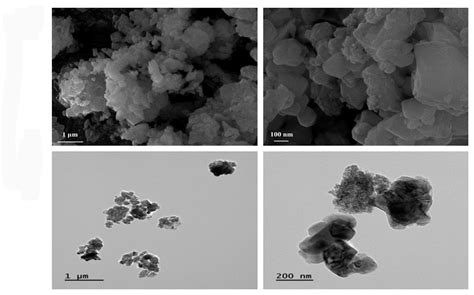Morphology of Asian sand dust (ASD) (A,B) ASD morphology was determined ...