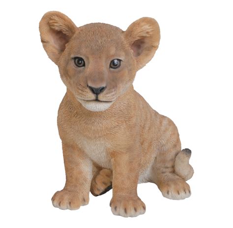 Cute Lion Cub PNG PNG All