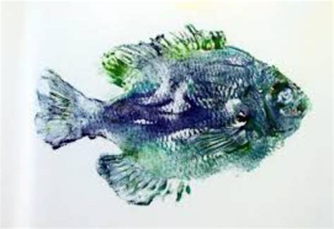 Fish Prints Gyotaku Severna Park