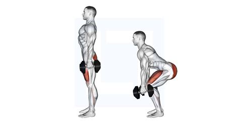 Dumbbell Squat - Guide, Benefits, and Form