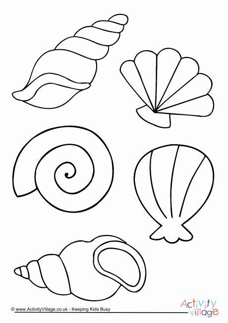 Sea Shell Coloring Pages