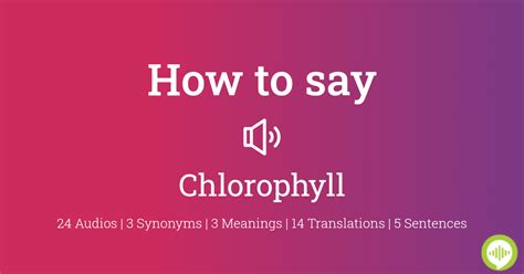 how to pronounce chlorophyll