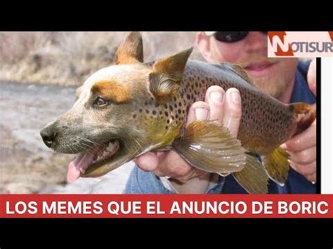 Los Memes Que Dej El Anuncio De Boric Vamos A Ser Unos Perros En La