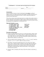 Experiment 3 Salivary Amylase Docx EXPERIMENT 3 SALIVARY AMYLASE