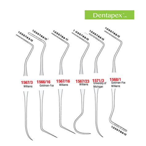 Probes - Enhance Dental Group Sdn Bhd