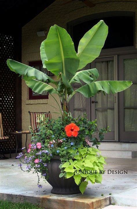 20+ Wonderful Tropical Landscaping Ideas For Garden