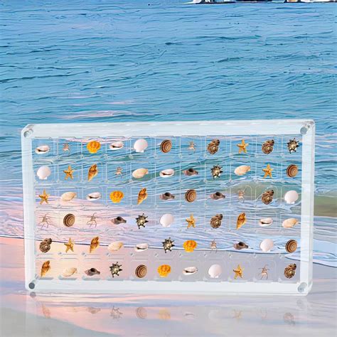 Adifare Acrylic Magnetic Seashell Display Box Clear Seashell Storage