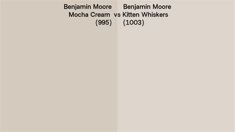 Benjamin Moore Mocha Cream Vs Kitten Whiskers Side By Side Comparison