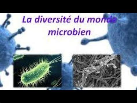 Le Monde Microbien Er Ann E Youtube