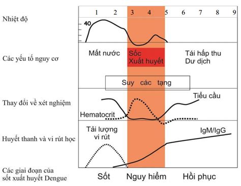 CẬP NHẬT PHÁC ĐỒ ĐIỀU TRỊ SỐT XUẤT HUYẾT DENGUE NĂM 2023