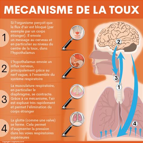 Toux Causes Types De Toux And Traitements Creapharma