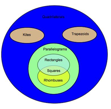 Venn Diagram Of Quadrilaterals Wiring Diagram Pictures