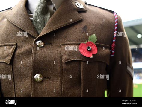 A detailed view of a Remembrance Day poppy Stock Photo - Alamy