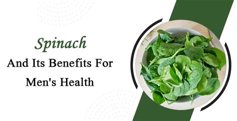 Spinach And Its Benefits For Mens Health