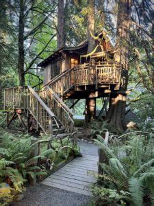 Discover Treehouse Point: A Must-Visit In Washington