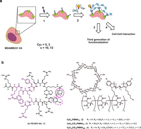 A Schematic Representation Of The Supramolecular Functionalization Of