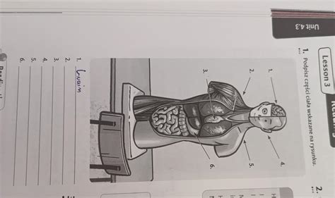 Podpisz Cz Ci Cia A Wskazane Na Rysunku Prosze Szybkoo Brainly Pl