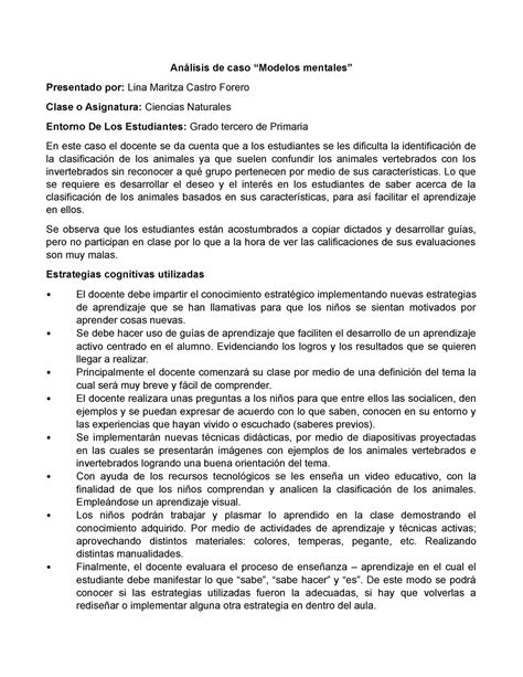 An Lisis De Caso Modelos Mentales An Lisis De Caso Modelos