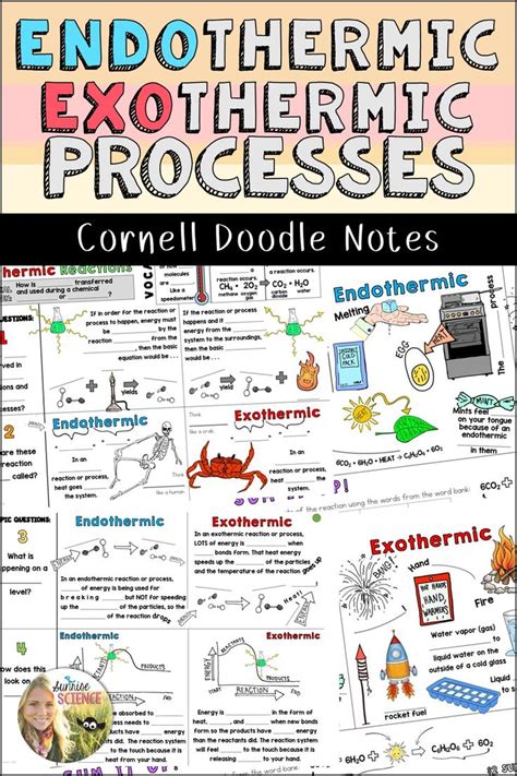 Endothermic and Exothermic Reactions Doodle Notes | Middle School ... 
