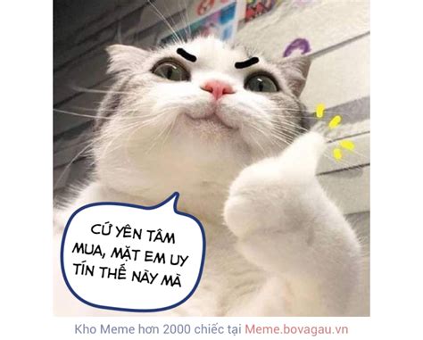 meme meo cuoi la gi nhung meme meo cuoi hay danh cho nhung nha dau tu