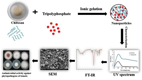 Agronomy Free Full Text Preparation And In Vitro Characterization