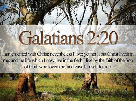 Free Bible Verse Wallpaper Kjv Bible Quotes Galatians X Hot Sex Picture