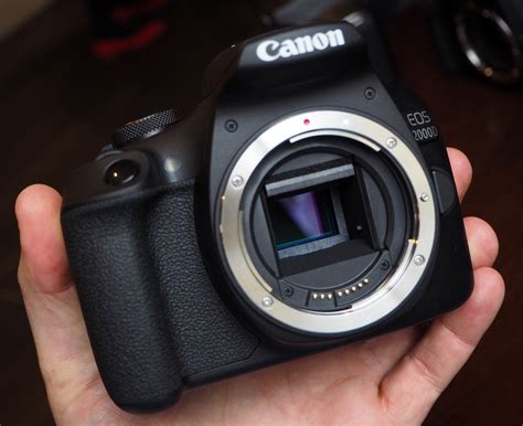 Canon Eos 2000D Camera Review at Darrell Coria blog