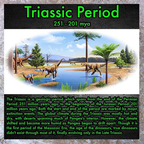 Triassic Period : r/Dinosaurs