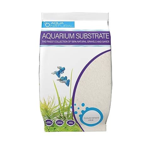 Aquarium Sand Vs Gravel: Pros, Cons, And Factors To Consider - AquaWorldHub