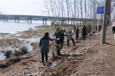 义务植树添新绿 携手共建美家园 金湖法院开展义务植树活动澎湃号·政务澎湃新闻 The Paper