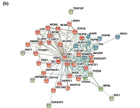 Enriched Dysregulated Pathways And Interaction Clusters Across Five