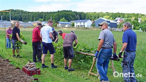 Freiwillige Erntehelfer bringen den Rohstoff fürs Illschwanger