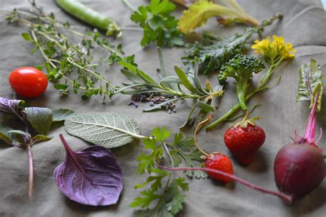 N O U R I S H Herbal Photography Natural Food Photography Kitchen