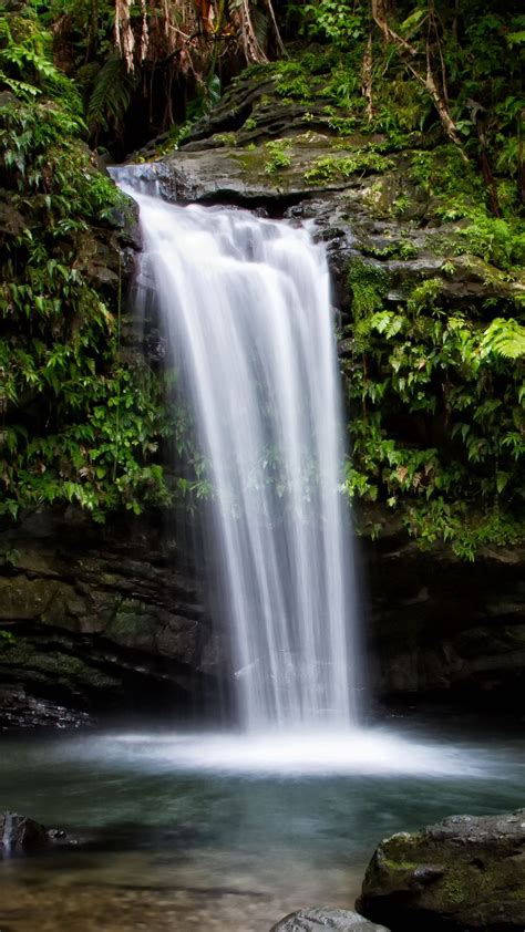 Waterfall Is Pouring On Lake Between Green Trees Bushes Forest