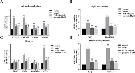 MRNA Expression Profiles In PLF And Puerarin Groups After Induction By