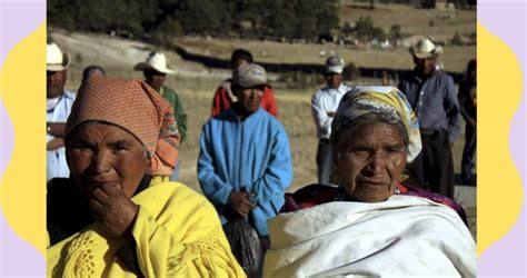 Racismo y xenofobia cómo nos afecta la discriminación en el día a día