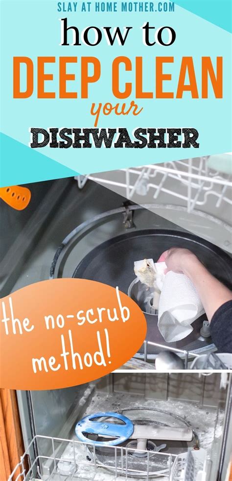 How To Deep Clean Your Dishwasher A Complete Guide Ihsanpedia