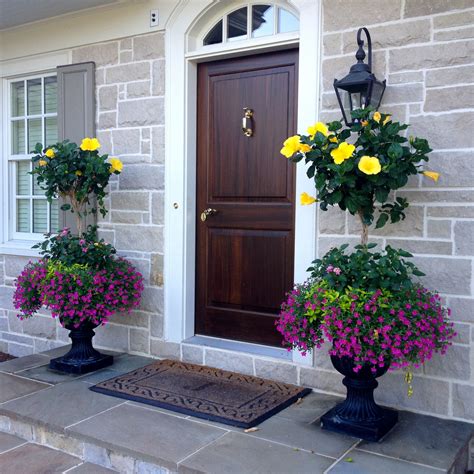 Hibiscus Planters Hisbiscus Container Garden Ideas Pinterest Hibiscus Planters And Gardens