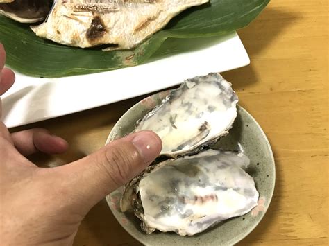 殻付きカキをさばく！殻の開け方・むき方 魚食普及推進センター一般社団法人 大日本水産会