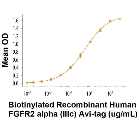 Recombinant Human FGFR2 Alpha IIIc His Avi Tag Protein CF AVI11119