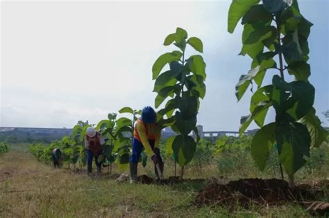 Semen Indonesia Terapkan Teknik Reklamasi Pada Lahan Bekas Tambang