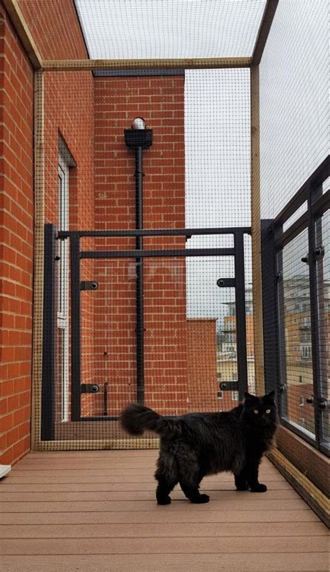 Cat Proof Balcony Cat Fence And Catio Specialists Sanctuary Sos